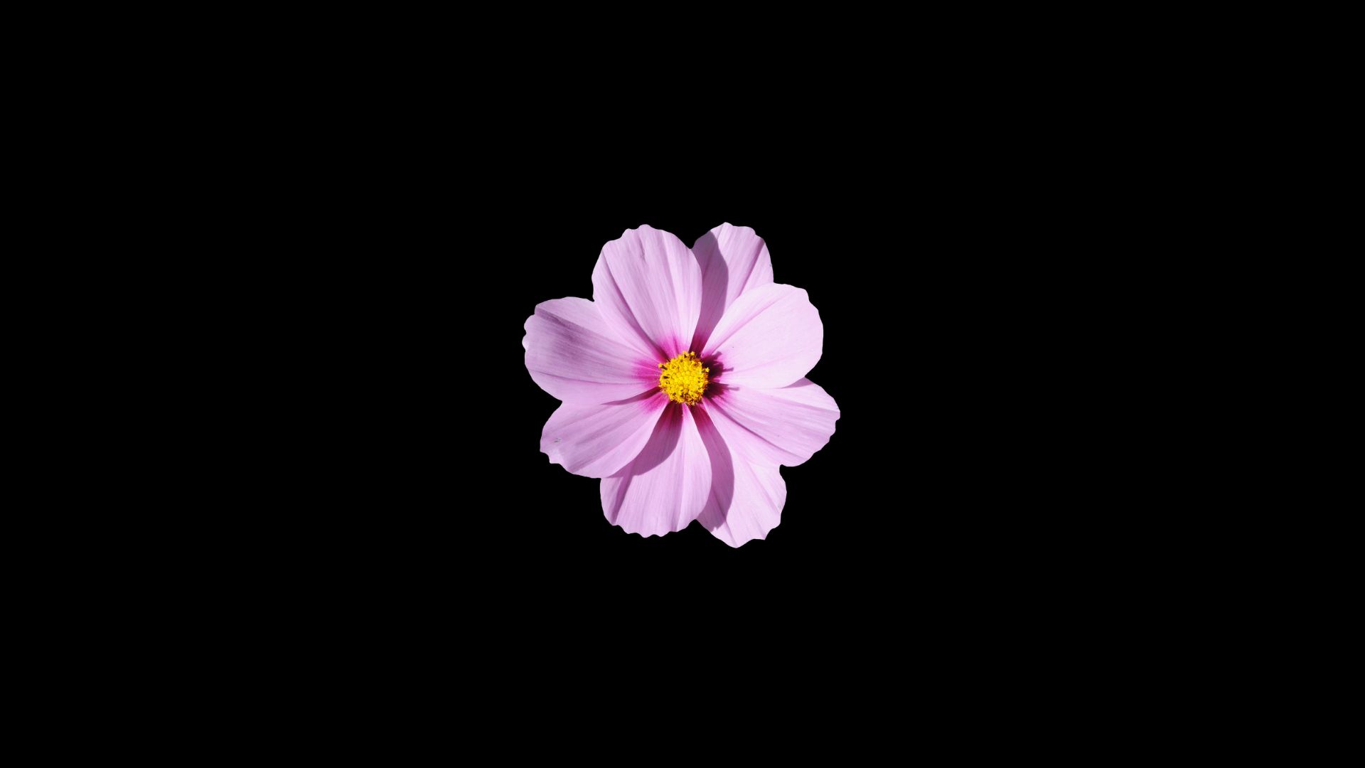 hero - img